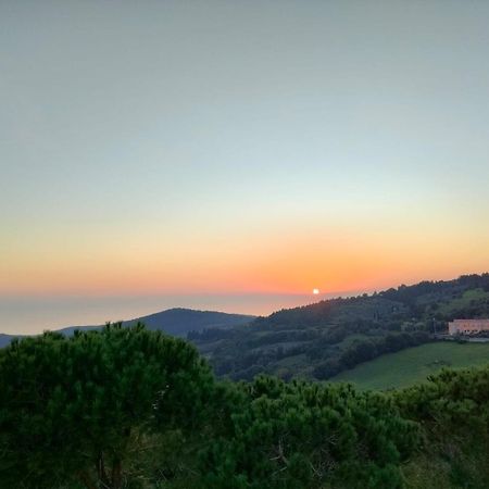 Vista Sulle Isole Dell'Arcipelago Toscano Nibbiaia Quarto foto